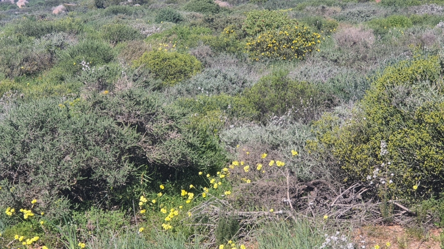  Bedroom Property for Sale in St Helena Views Western Cape